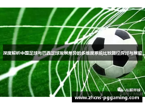 深度解析中国足球与巴西足球发展差异的多维度系统比较路径探讨与展望