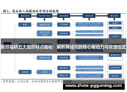 斯坦福桥五大组织特点揭秘：解析其成功的核心驱动力与管理模式